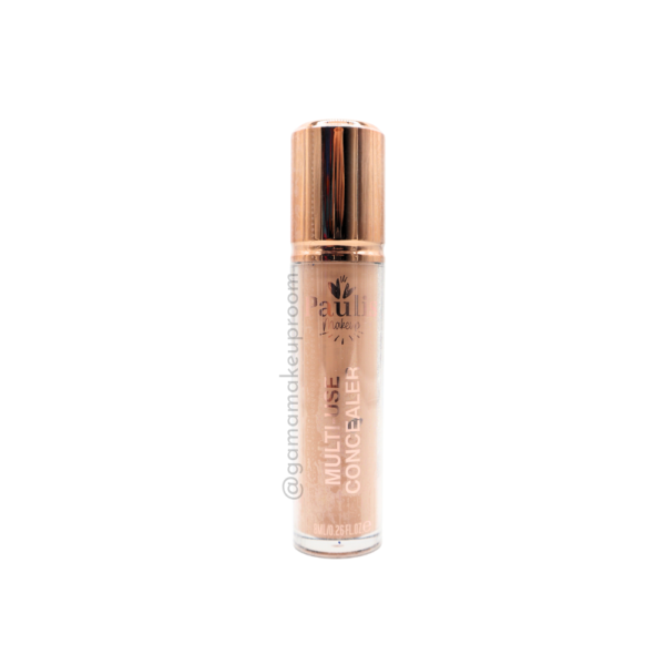 Corrector Multi-Use Paulis Tono #04