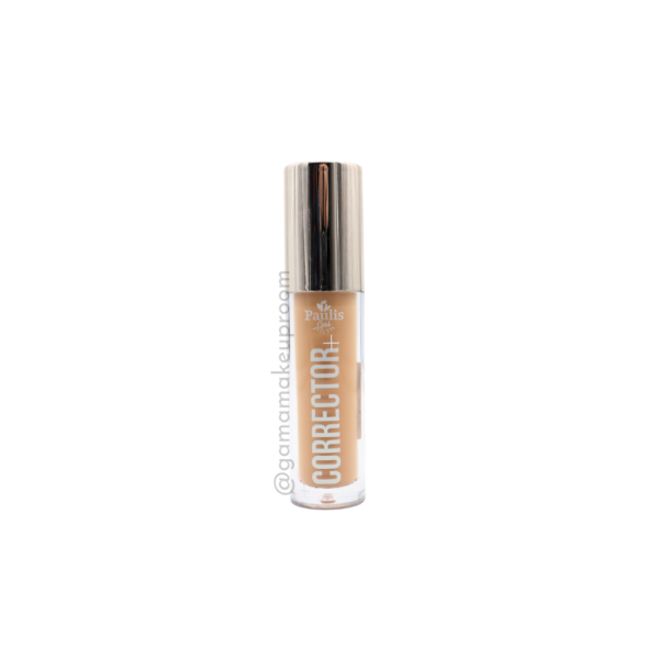 Corrector Alta Cubertura Paulis Gold Tono #06