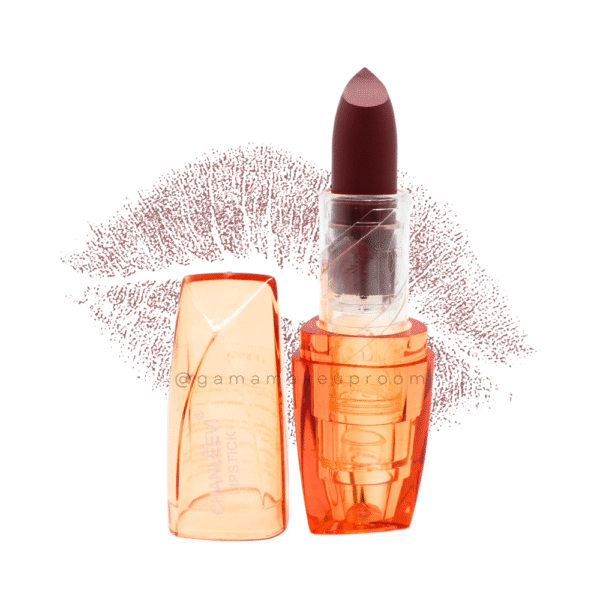 Labial en Barra Moisturizing Chanleevi #11